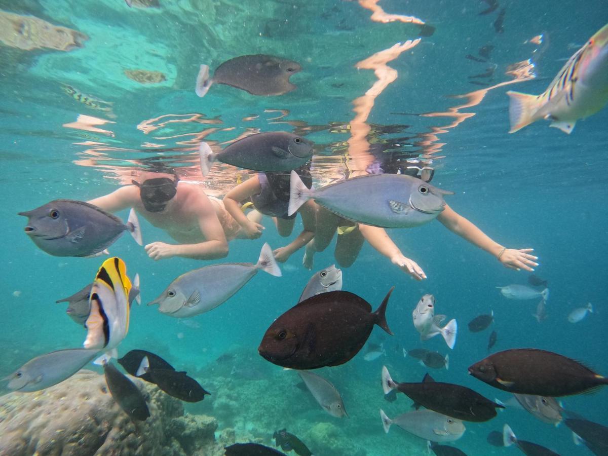 Crystal Sands Maafushi Eksteriør bilde