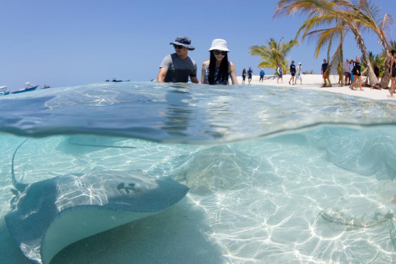 Crystal Sands Maafushi Eksteriør bilde